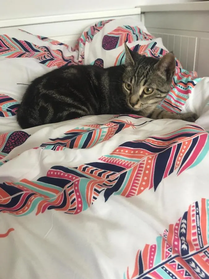 Rum i privatbostad Casa De Aurora Lägenhet Rubí
