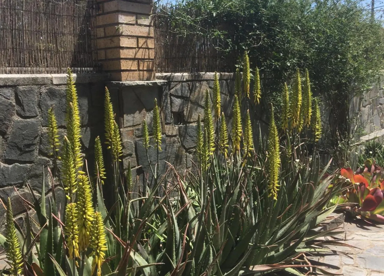 Rum i privatbostad Casa De Aurora Lägenhet Rubí Spanien